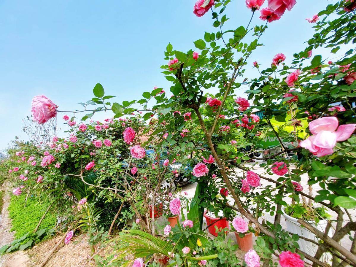 Ninh Binh Green Farmstay La Phu  Dış mekan fotoğraf