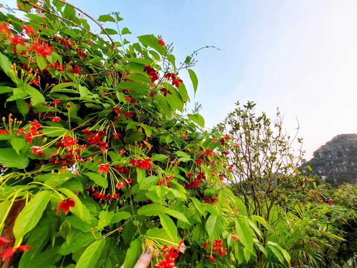 Ninh Binh Green Farmstay La Phu  Dış mekan fotoğraf