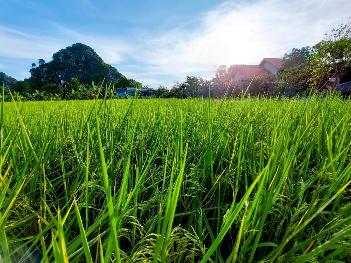 Ninh Binh Green Farmstay La Phu  Dış mekan fotoğraf